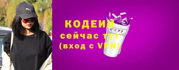 хмурый Нея