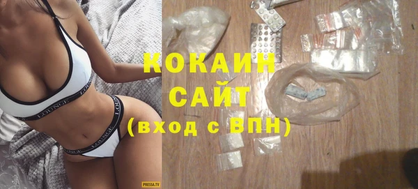 хмурый Нея