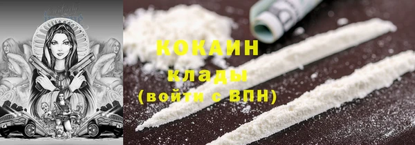 хмурый Нея