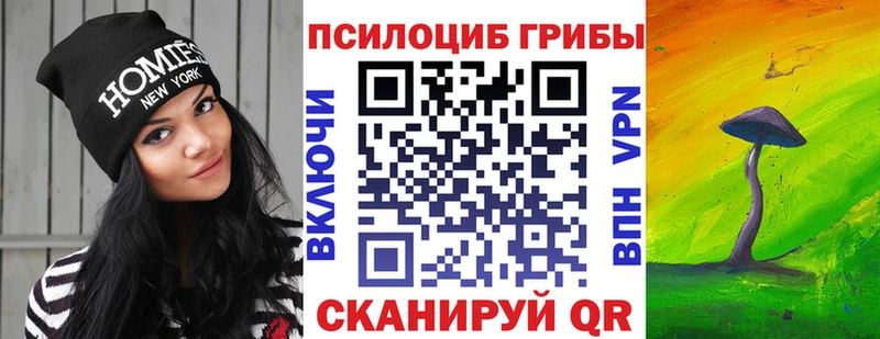 где купить наркоту  ссылка на мегу ссылки  Псилоцибиновые грибы Cubensis  Новосиль 