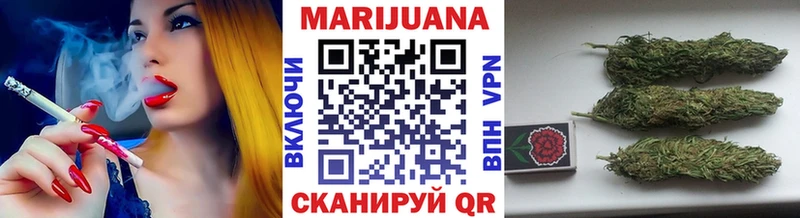 где найти наркотики Новосиль МАРИХУАНА сатива